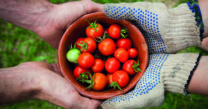 Analyse – Pour une mise en place de la sécurité sociale de l’alimentation