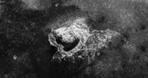 Analyse – Fracture numérique et non-recours aux droits: au croisement des inégalités